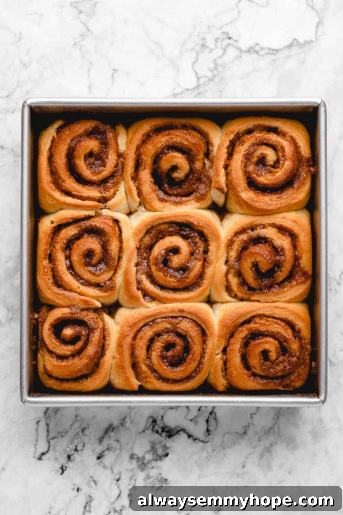 Overhead view of golden-brown, unfrosted vegan cinnamon rolls fresh out of the oven in a square baking pan.