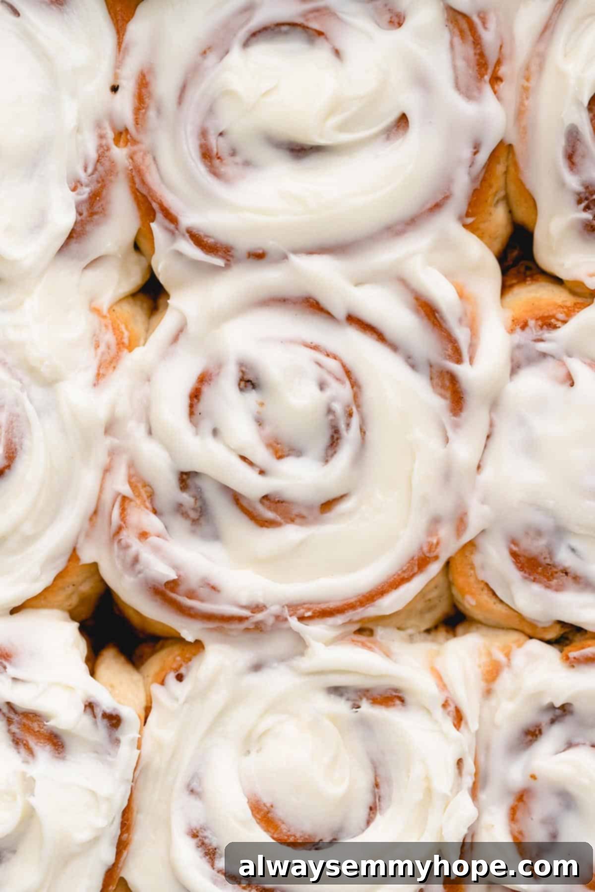 Overhead view of beautifully frosted vegan cinnamon rolls, glistening with cream cheese icing, in a square baking pan.