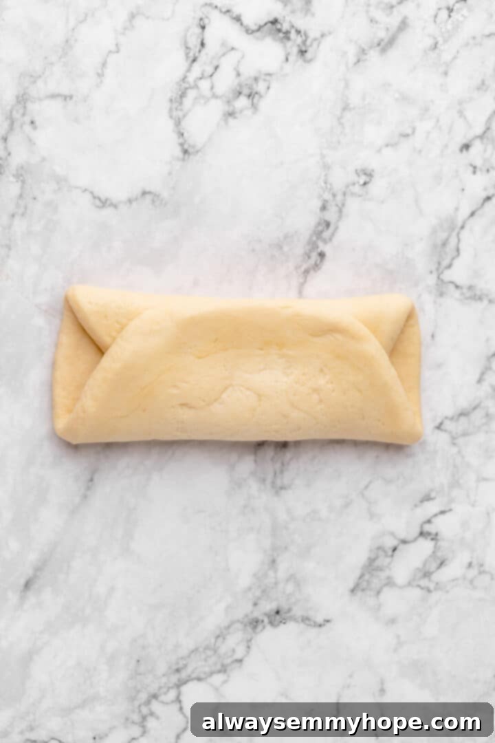 Fluffy Vegan Japanese Milk Bread 19 Forming log of milk bread dough