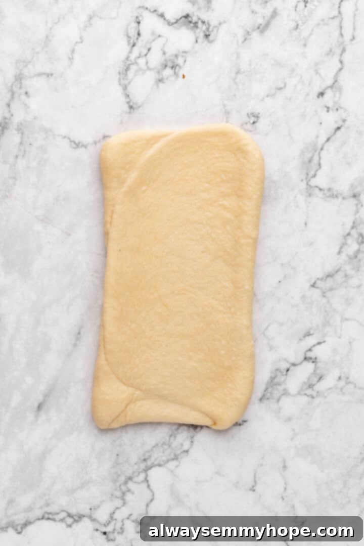 Fluffy Vegan Japanese Milk Bread 20 Rectangle of milk bread dough