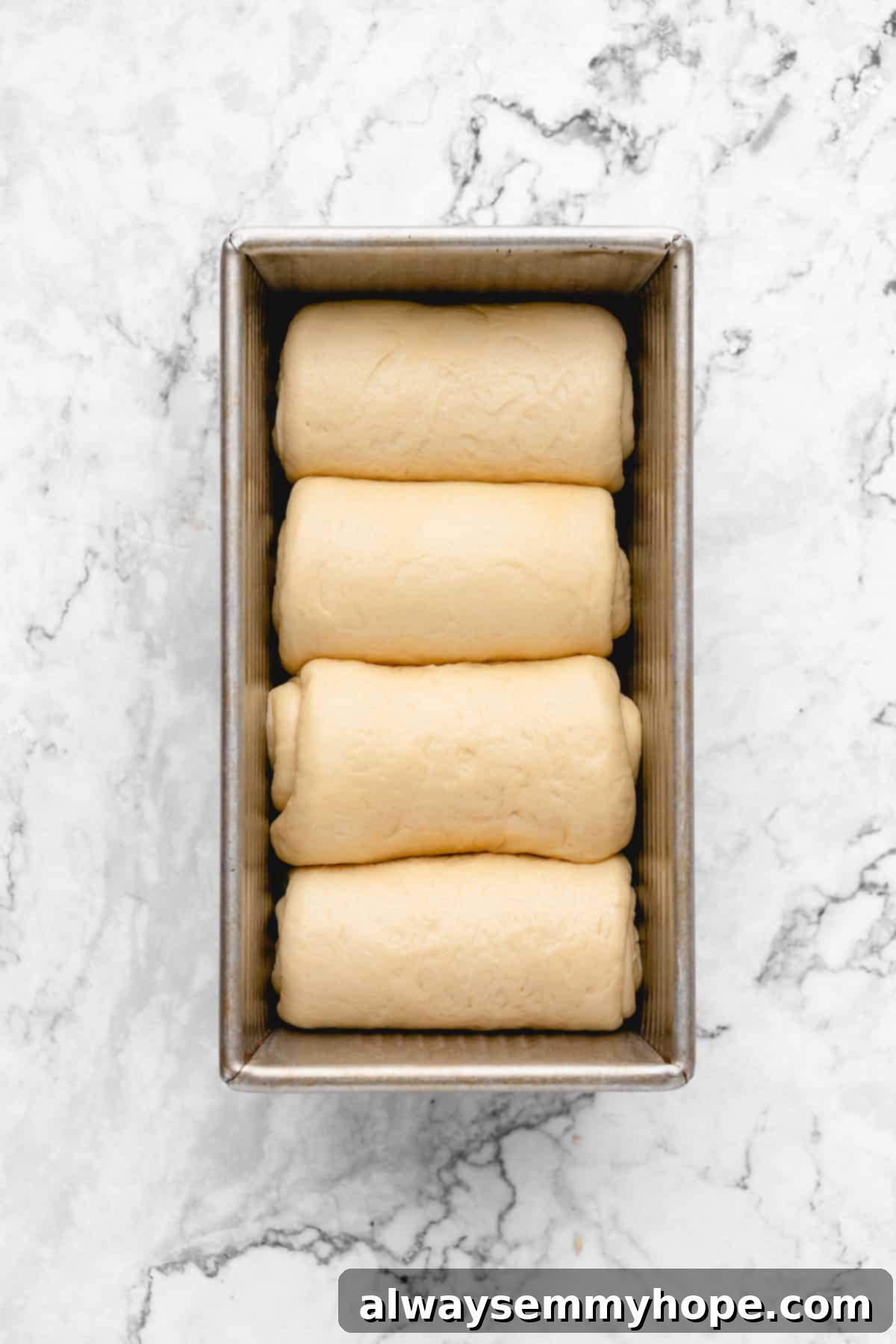 Fluffy Vegan Japanese Milk Bread 23 Overhead view of milk bread dough in loaf pan before rising