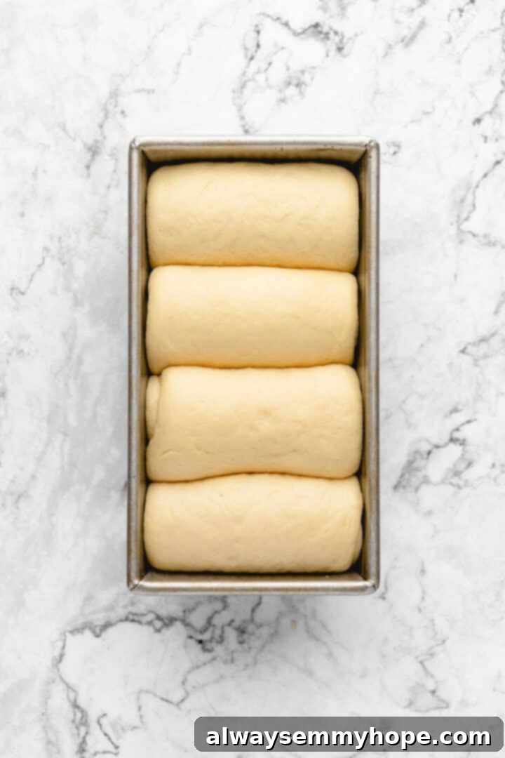 Fluffy Vegan Japanese Milk Bread 24 Overhead view of milk bread dough in loaf pan after rising