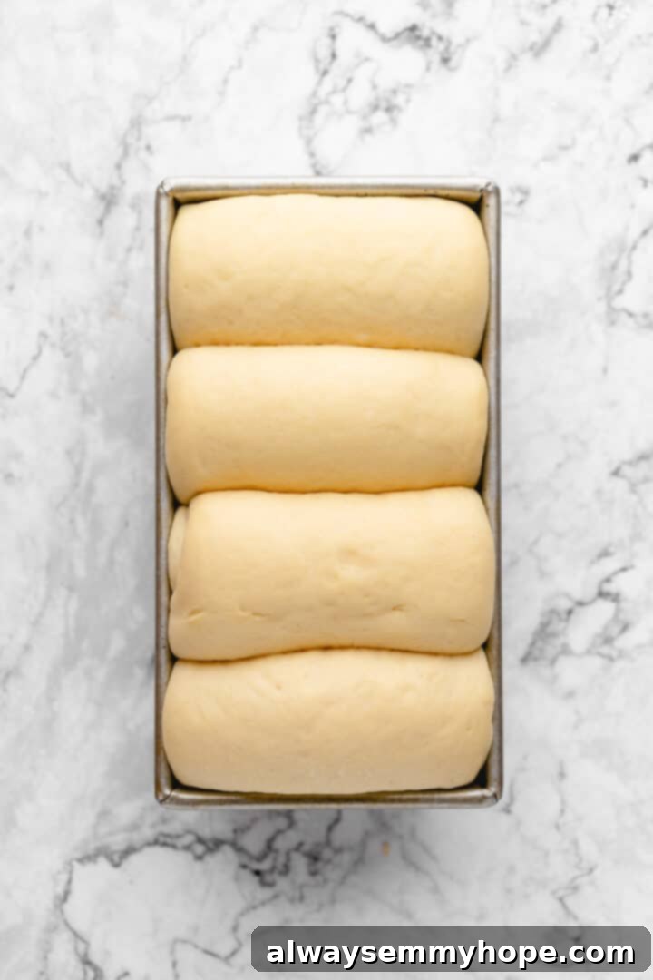 Fluffy Vegan Japanese Milk Bread 25 Overhead view of milk bread dough in loaf pan