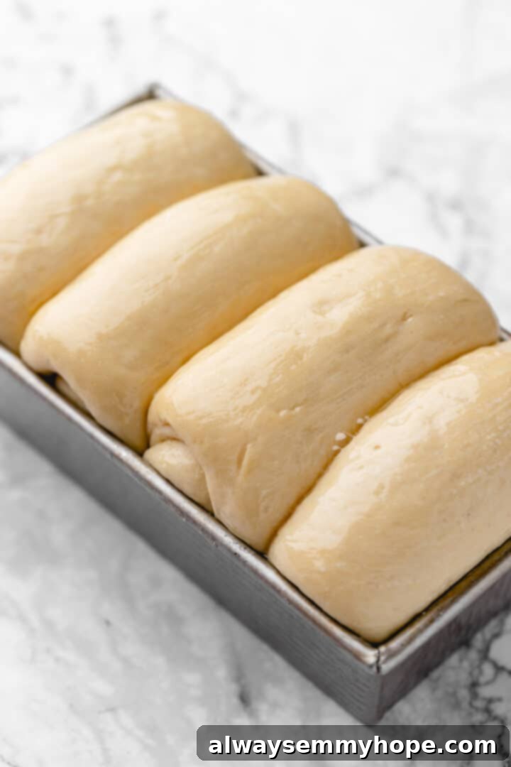 Fluffy Vegan Japanese Milk Bread 26 Vegan milk bread dough in loaf pan