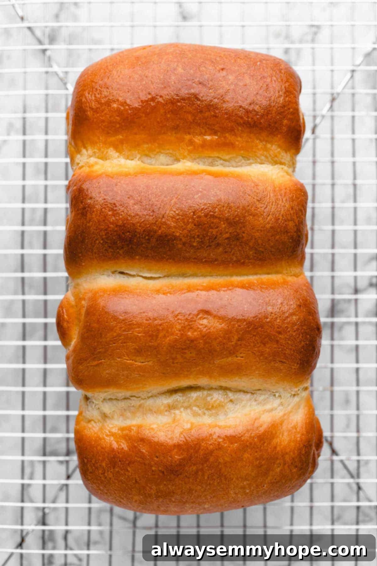 Fluffy Vegan Japanese Milk Bread 27 Overhead view of vegan milk bread on cooling rack