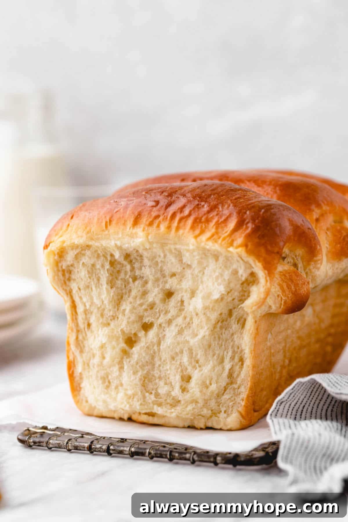 Fluffy Vegan Japanese Milk Bread 31 Loaf of vegan milk bread with slice removed, showing pillowy interior