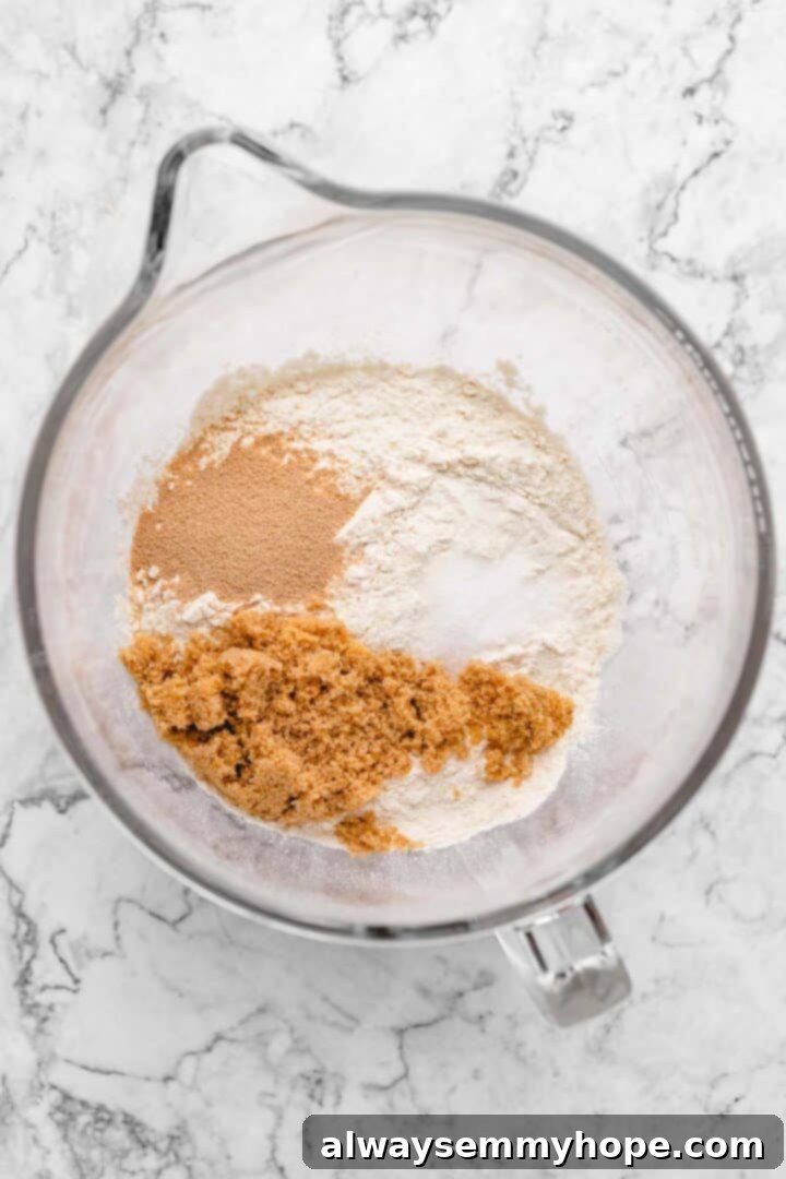 Fluffy Vegan Japanese Milk Bread 10 Overhead view of dry bread ingredients in mixing bowl before whisking
