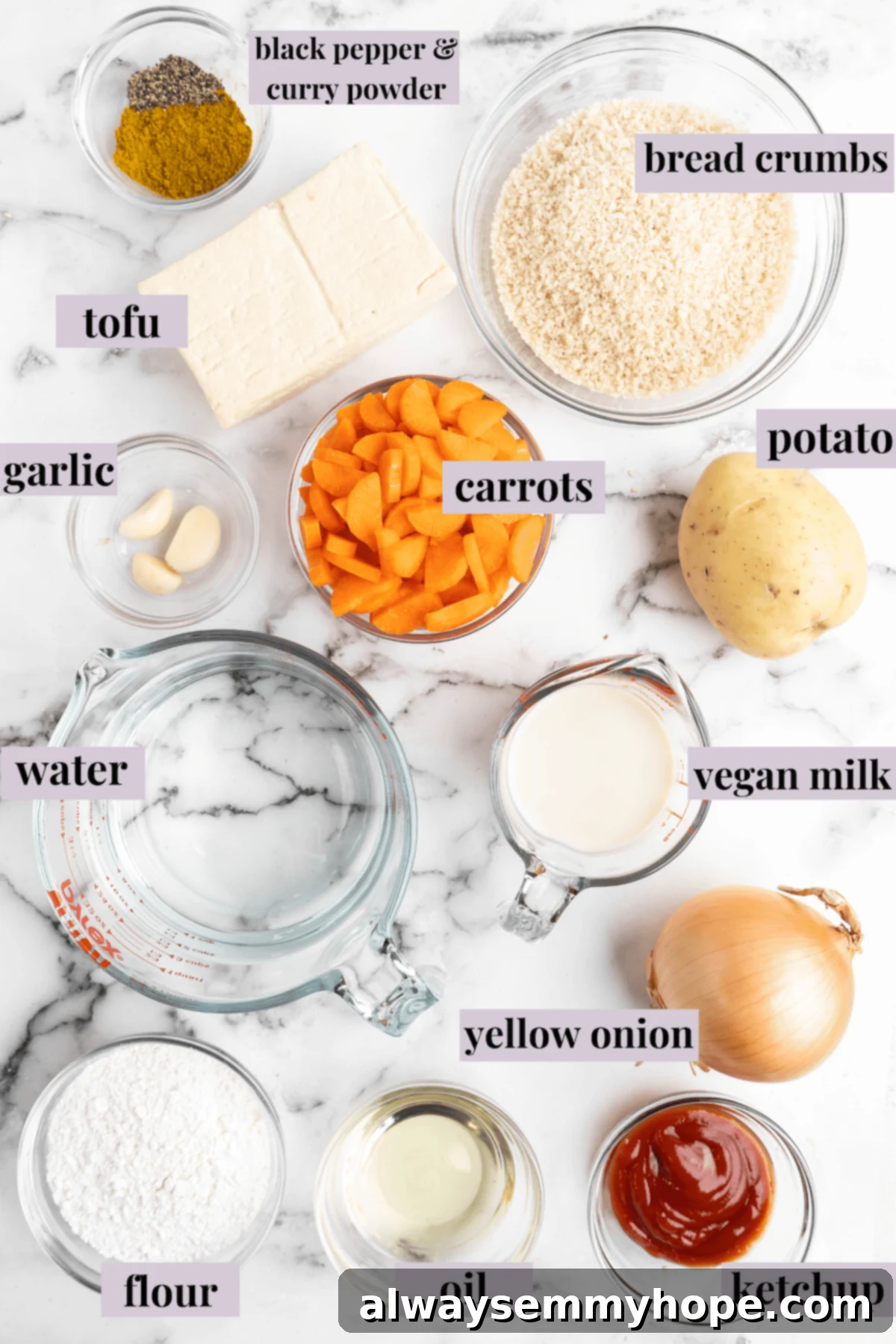 Overhead view of vegan katsu curry ingredients with labels