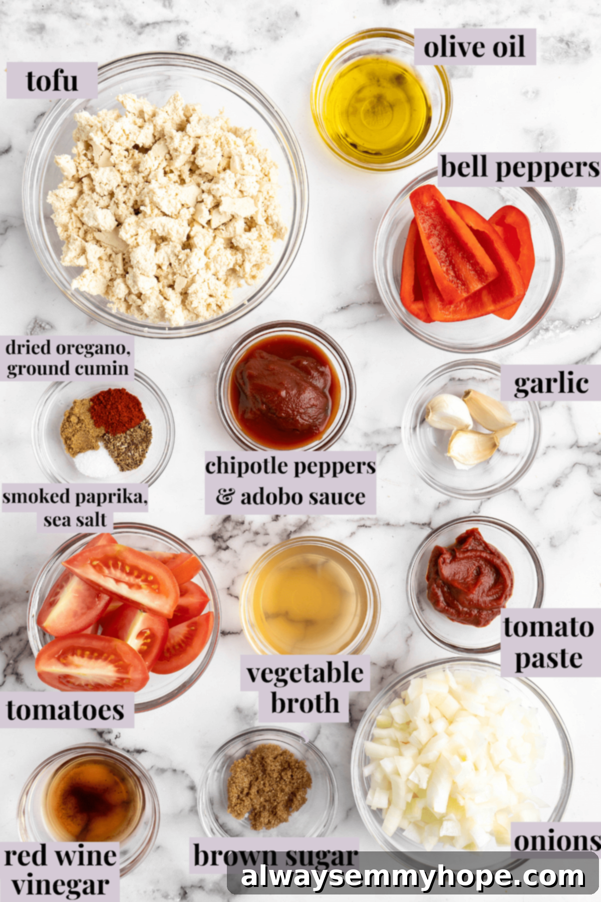 Homemade Chipotle Sofritas 4 Overhead view of sofritas ingredients laid out with labels, including fresh produce and spices