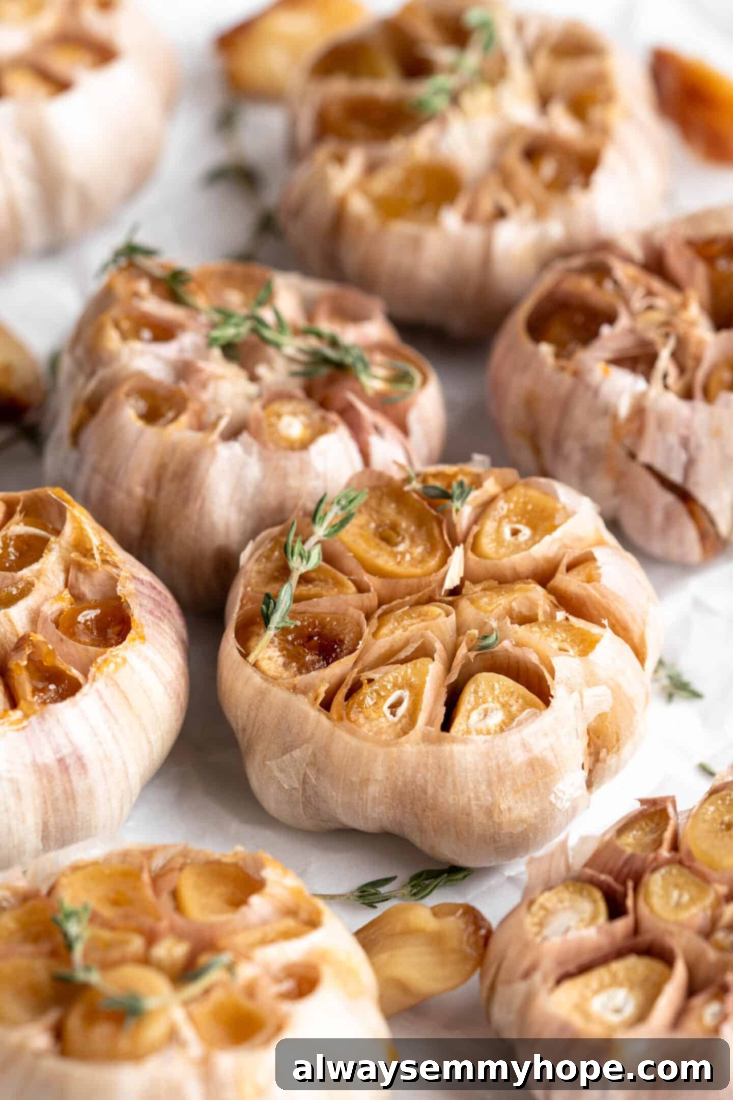 Roasted garlic heads with sprigs of thyme
