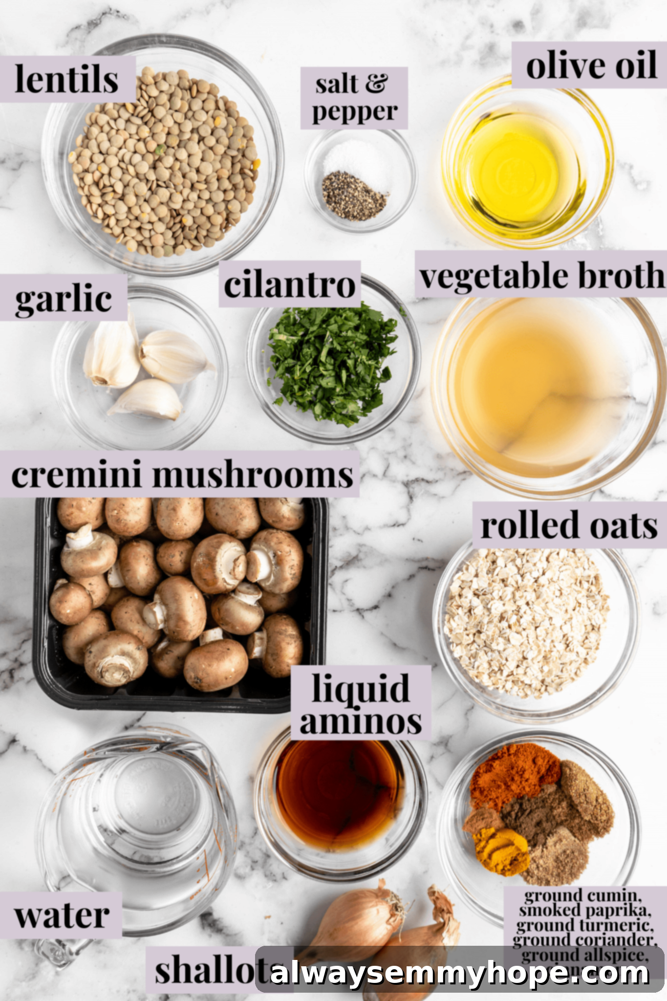 Overhead view of carefully arranged fresh ingredients for vegan kofta, including lentils, cremini mushrooms, shallots, garlic, various spices (cumin, smoked paprika, turmeric, coriander, allspice, cinnamon), fresh cilantro, and oats, each clearly labeled.