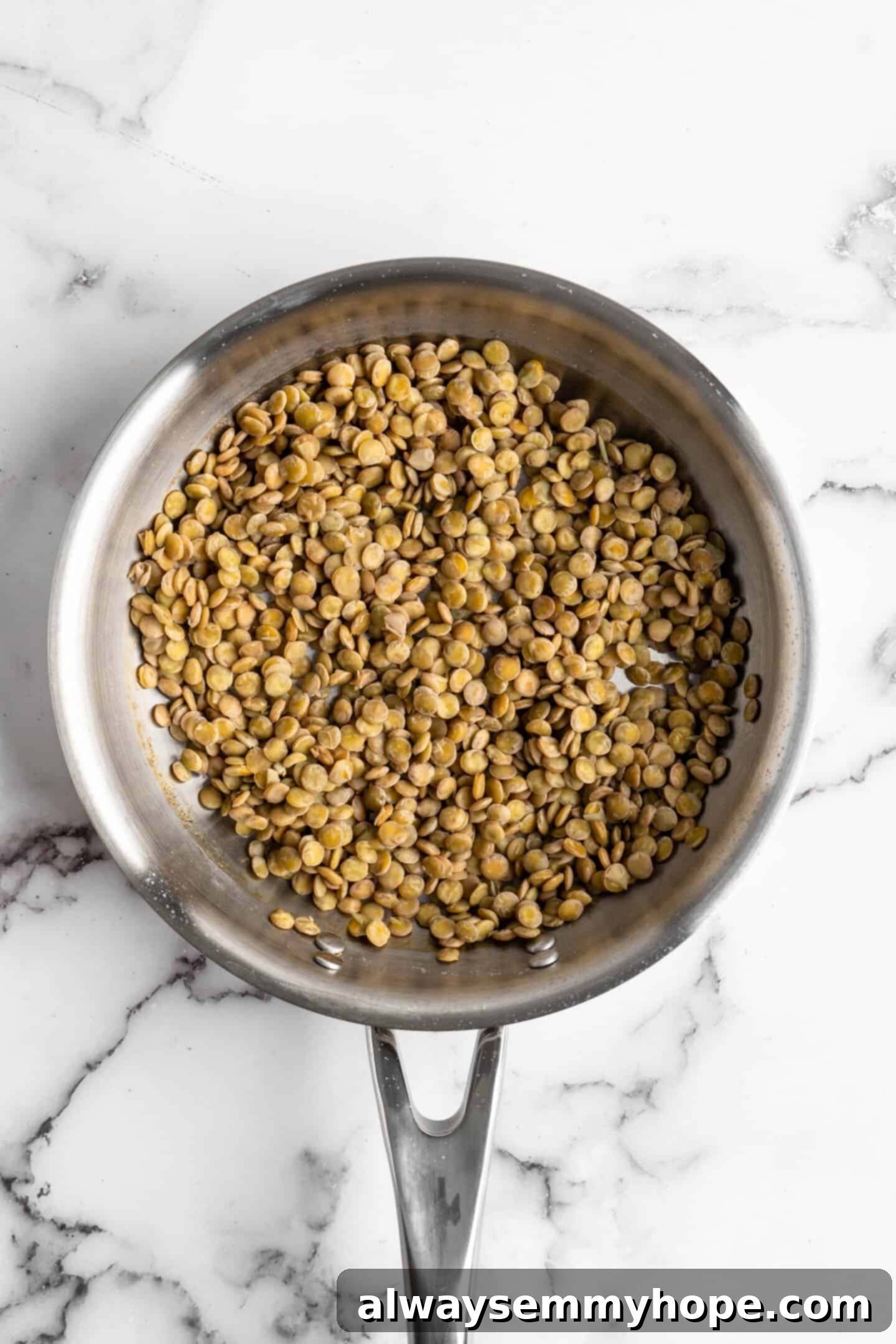 Overhead view of lentils simmering gently in a small saucepan on the stovetop, just beginning to cook.