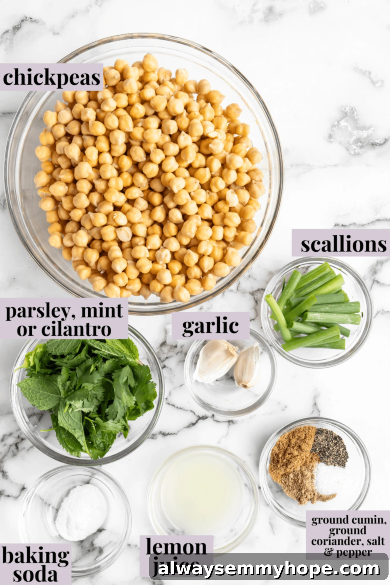 This homemade falafel recipe is just like the kind they make at restaurants. Fluffy on the inside, crispy on the outside, and so delicious! Overhead view of falafel ingredients with labels
