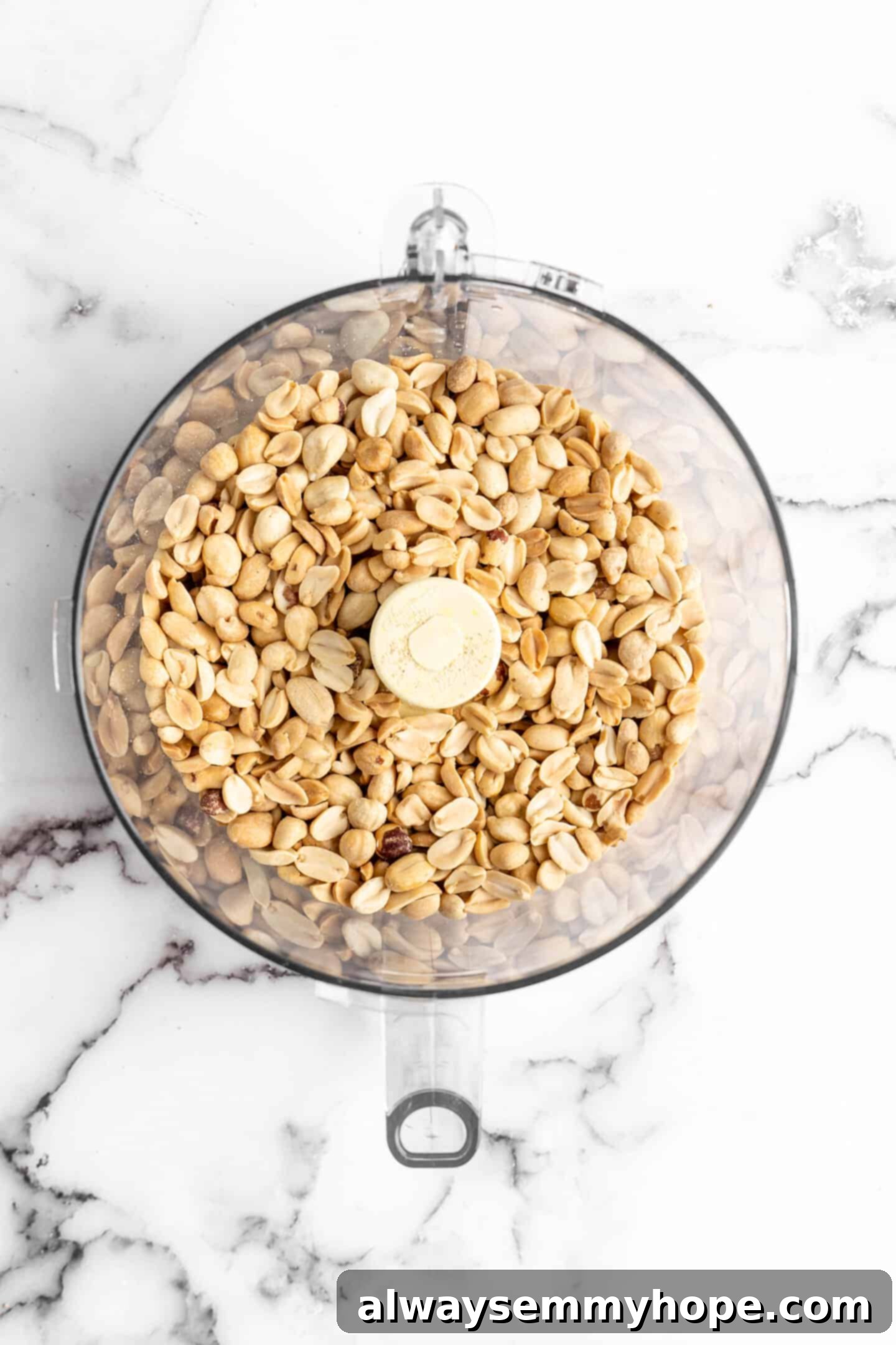 Overhead view of peanuts in food processor