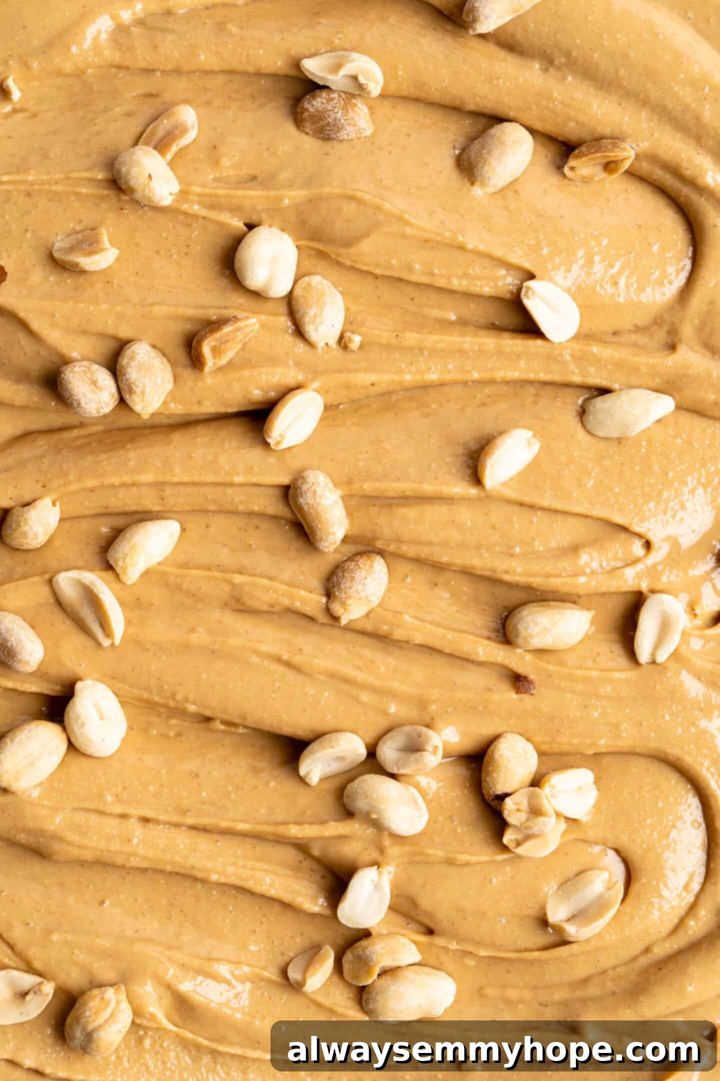 Closeup of peanut butter with peanuts sprinkled over the top