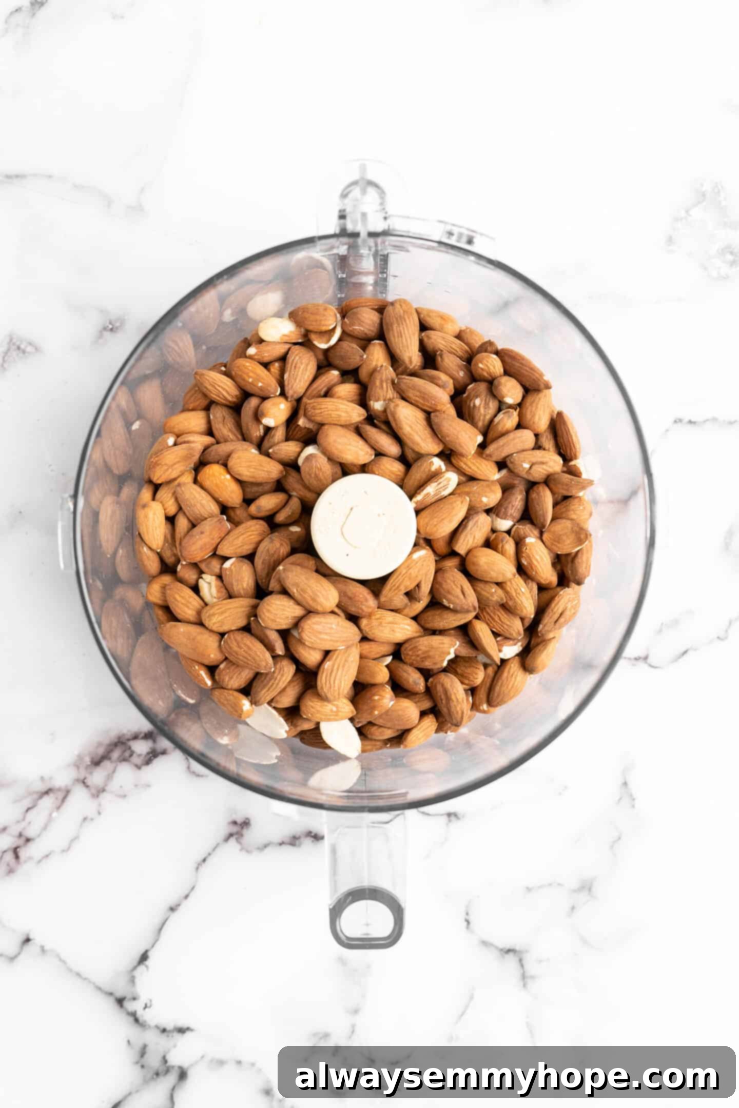 Overhead view of roasted almonds in a food processor, ready to be blended