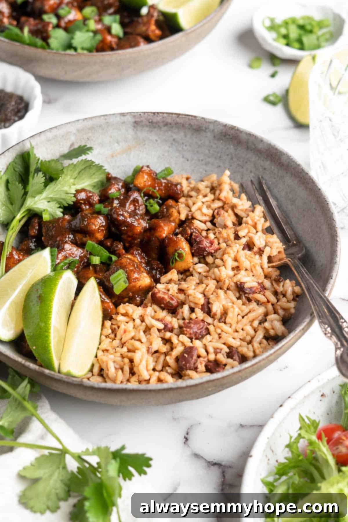 This Jamaican jerk tofu is the real deal! It's spicy, saucy, and just a little bit sweet. It's also super easy to make for a weeknight meal! Bowl of Jamaican jerk tofu and rice