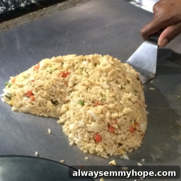 My 10 Life Moments: Birthday Fun, Synchronized Swimming & Monthly Favorites 4 Close-up of rice shaped into a heart on a Teppanyaki griddle.