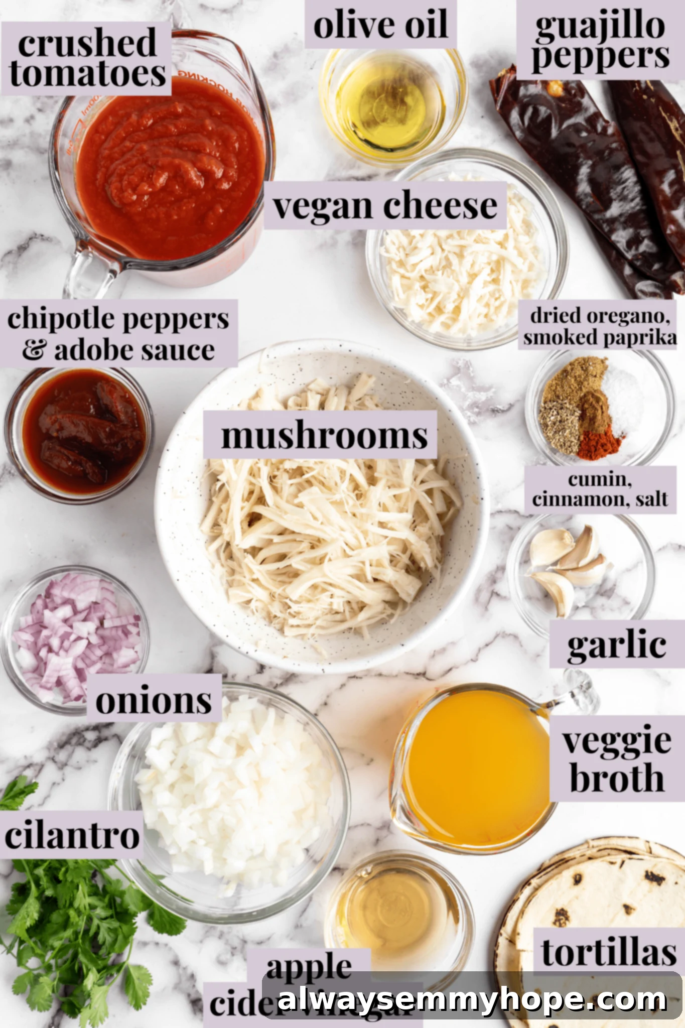 Vegan birria tacos use king oyster mushrooms to mimic the texture/flavour of the original. They’re smoky, crispy, and perfect for dipping! Overhead view of vegan birria taco ingredients with labels.