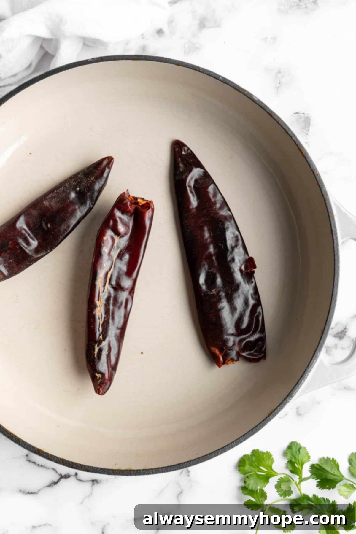 Vegan birria tacos use king oyster mushrooms to mimic the texture/flavour of the original. They’re smoky, crispy, and perfect for dipping! Overhead view of guajillo chiles being toasted in a pot.