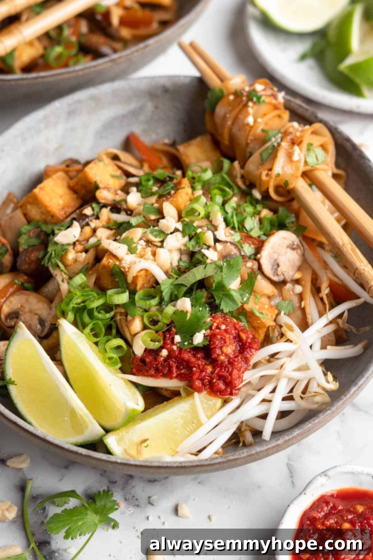 Bowl of vegan Pad Thai with toppings