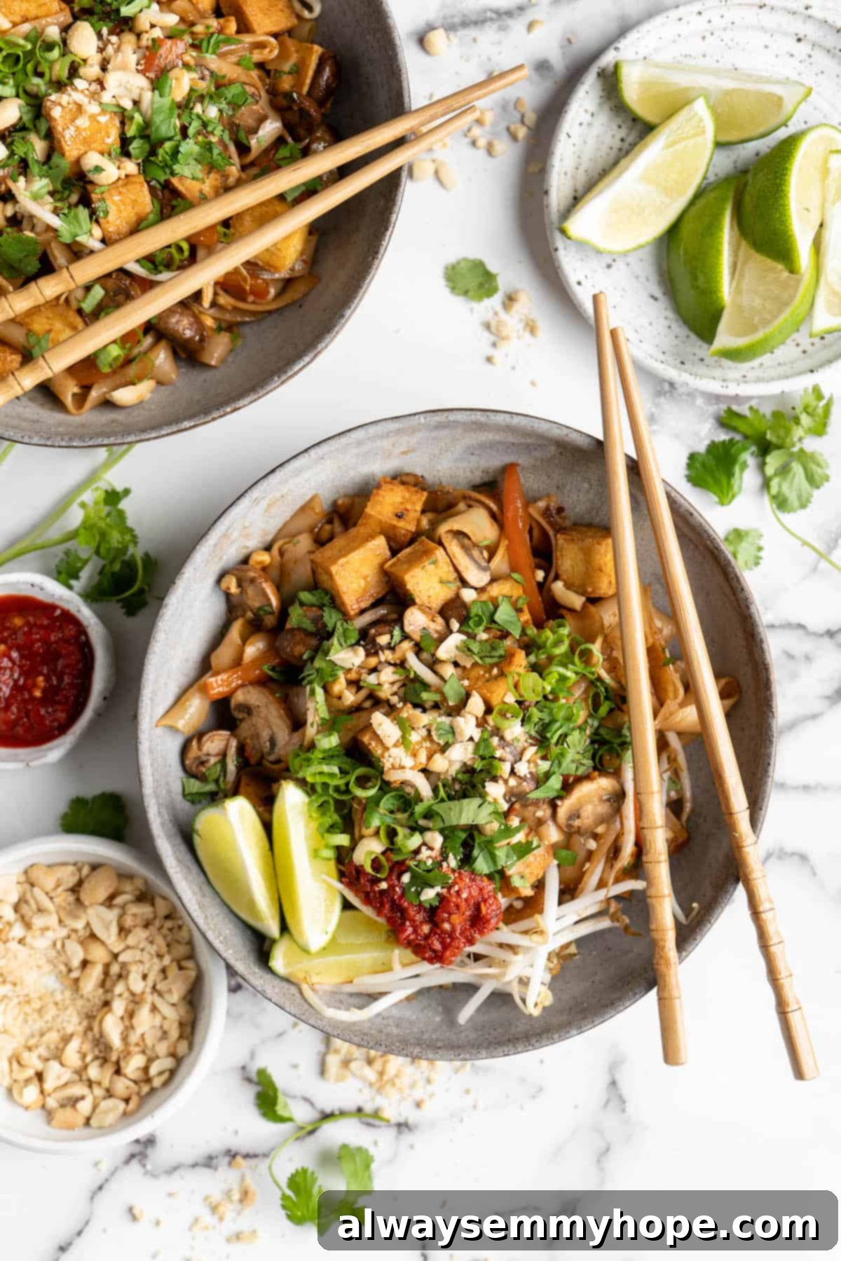 Overhead view of vegan Pad Thai in two bowls