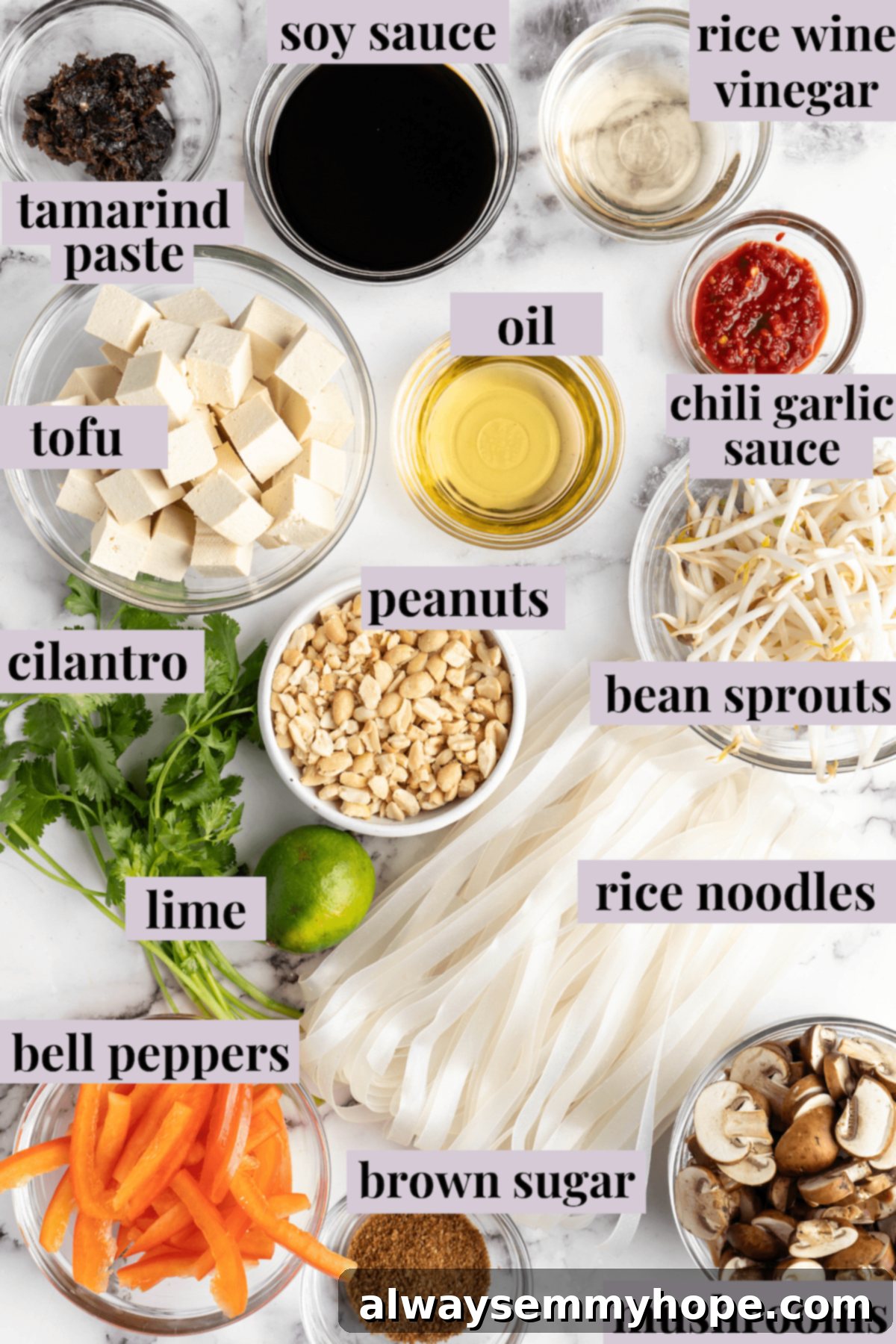 Overhead view of ingredients for vegan Pad Thai with labels