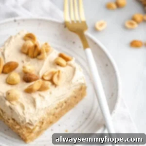 A delicious slice of vegan peanut butter cake, perfectly frosted and ready to be enjoyed.
