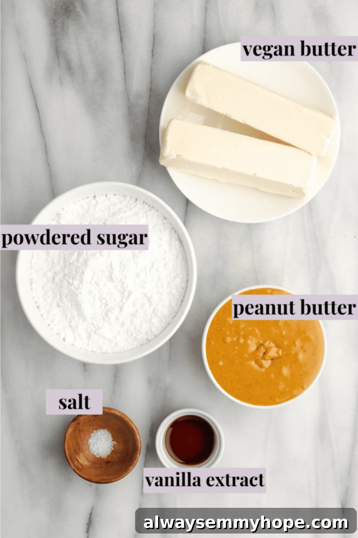 An overhead shot showcasing all the essential vegan ingredients laid out for making a peanut butter cake, including milk, sugar, flour, and peanut butter.