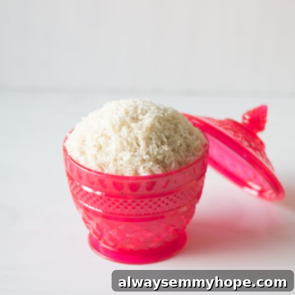 Fluffy Basmati Rice for Indian Dishes Fluffy white basmati rice ready to be served with butter chicken, in a pink bowl.