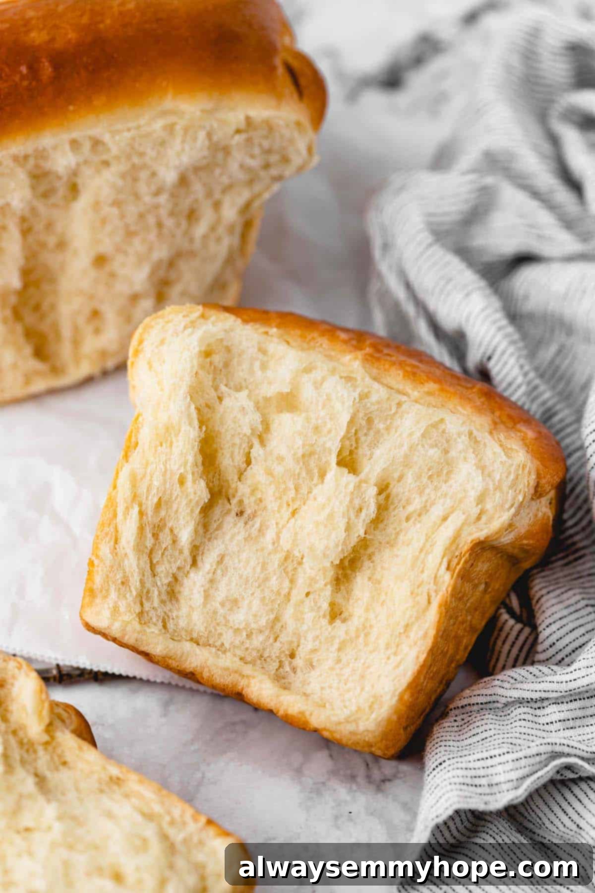 Answering questions on what yeast is, if it is vegan, how it's stored, how to tell if it's still good, and my favorite yeasty recipes. A piece of Japanese milk bread on a counter next to a loaf of bread.