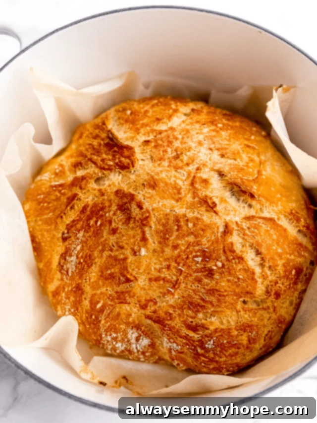 Is Yeast Actually Vegan 2 No Knead Bread in a dutch oven after being baked.
