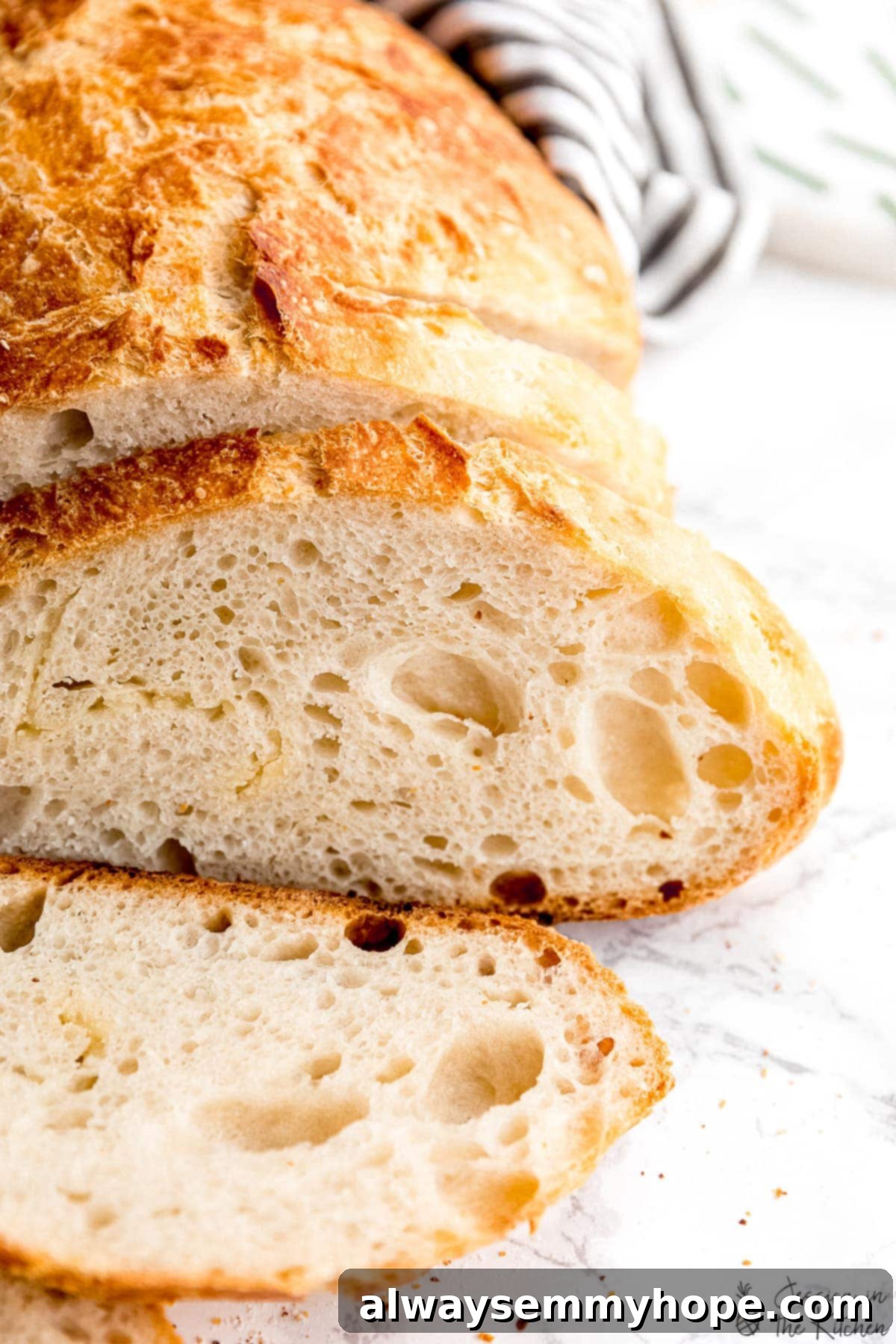 Is Yeast Actually Vegan 3 Sliced vegan no knead bread on a marble counter