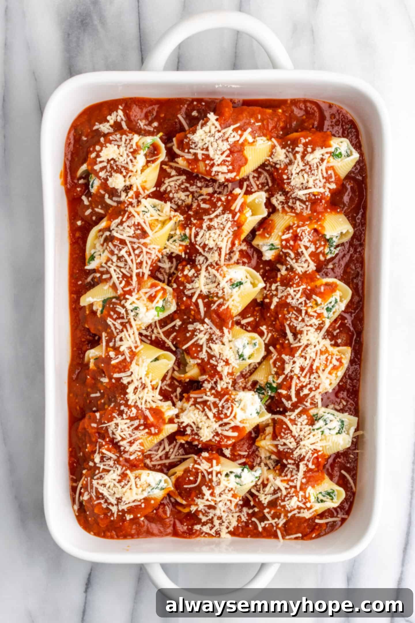 Creamy Vegan Stuffed Shells 14 Vegan stuffed shells in a casserole dish, topped with marinara sauce and vegan Parmesan cheese