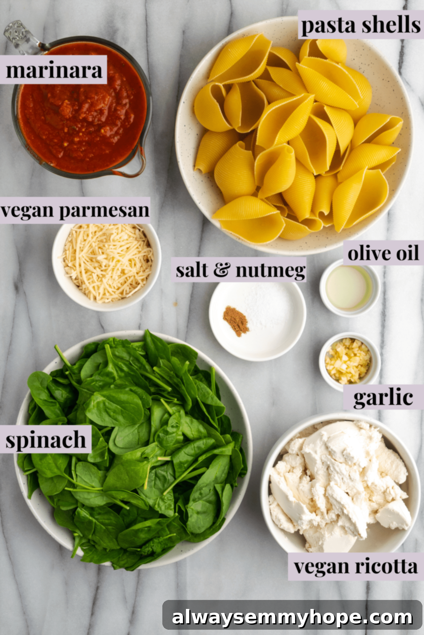 Creamy Vegan Stuffed Shells 4 Array of ingredients for making vegan stuffed shells, clearly labeled