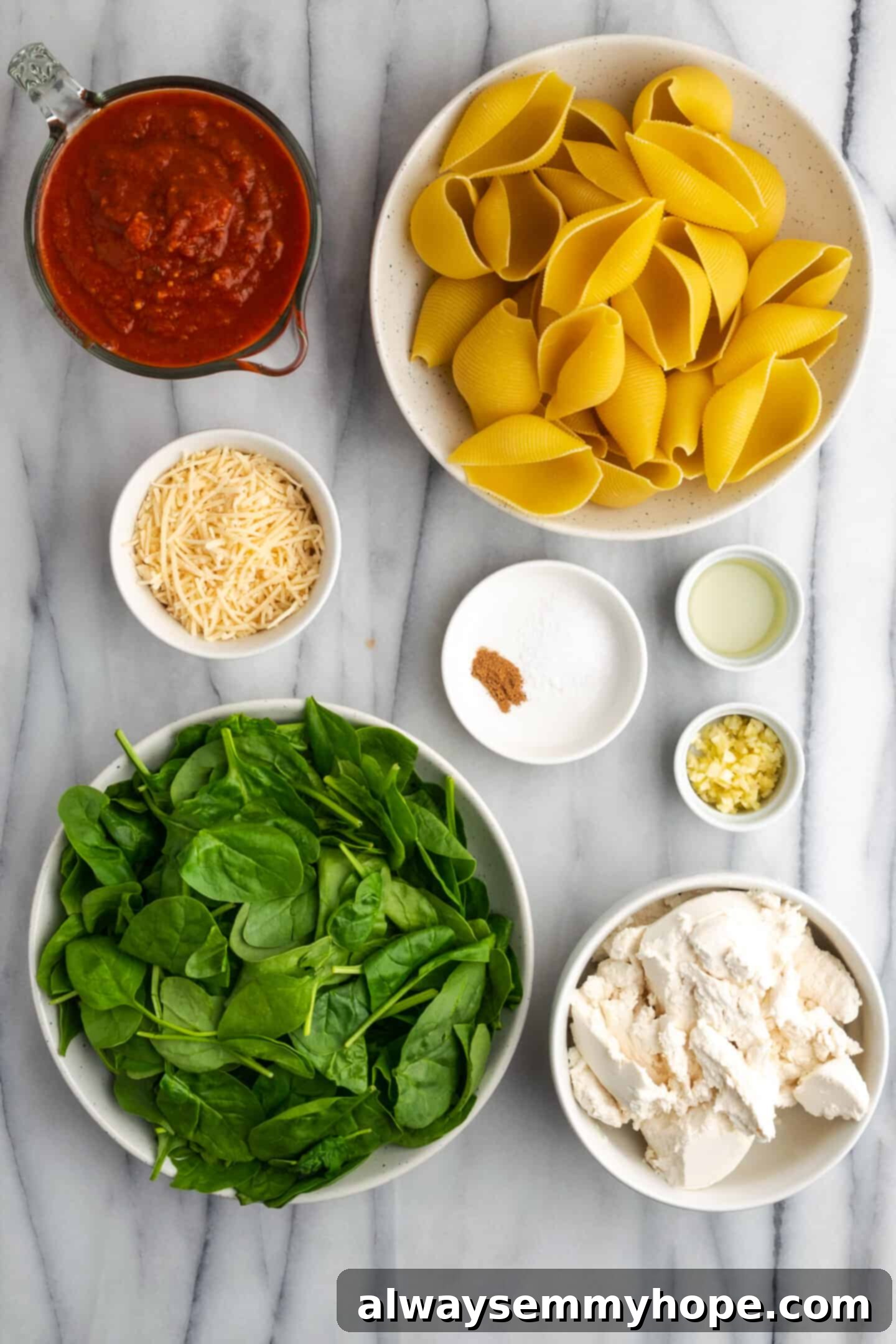 Creamy Vegan Stuffed Shells 6 Ingredients for making vegan stuffed shells laid out on a counter