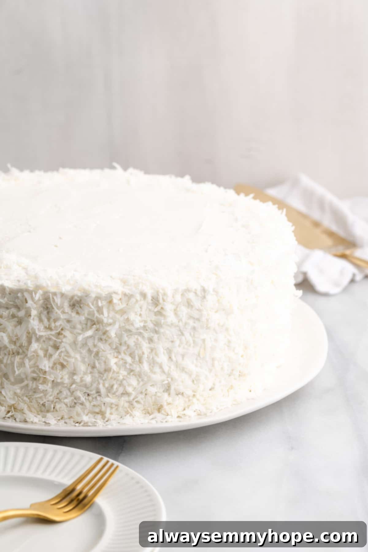 Tropical Vegan Coconut Cake 16 A beautifully frosted vegan coconut cake, ready for final garnishing.