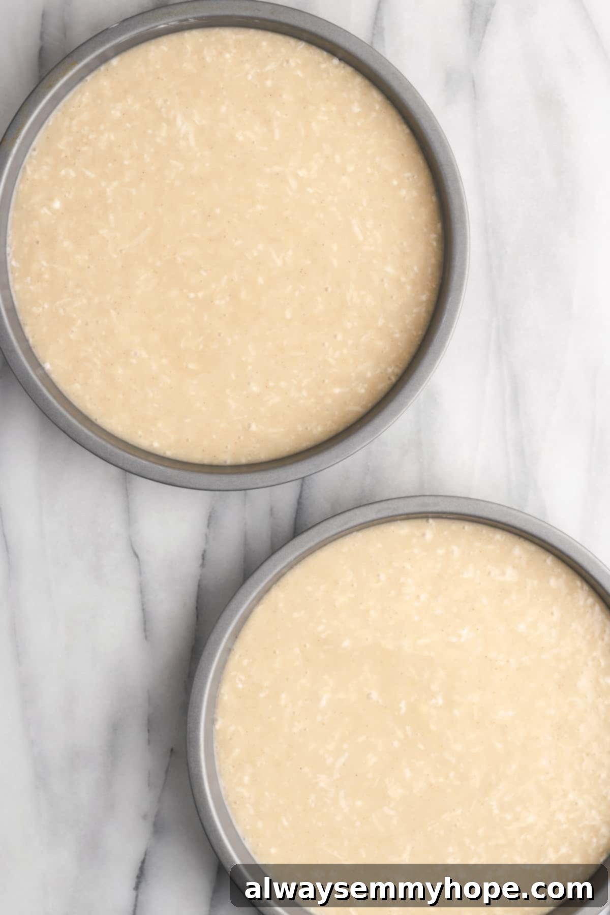 Tropical Vegan Coconut Cake 10 Vegan coconut cake batter divided evenly between two round cake pans, ready for the oven.