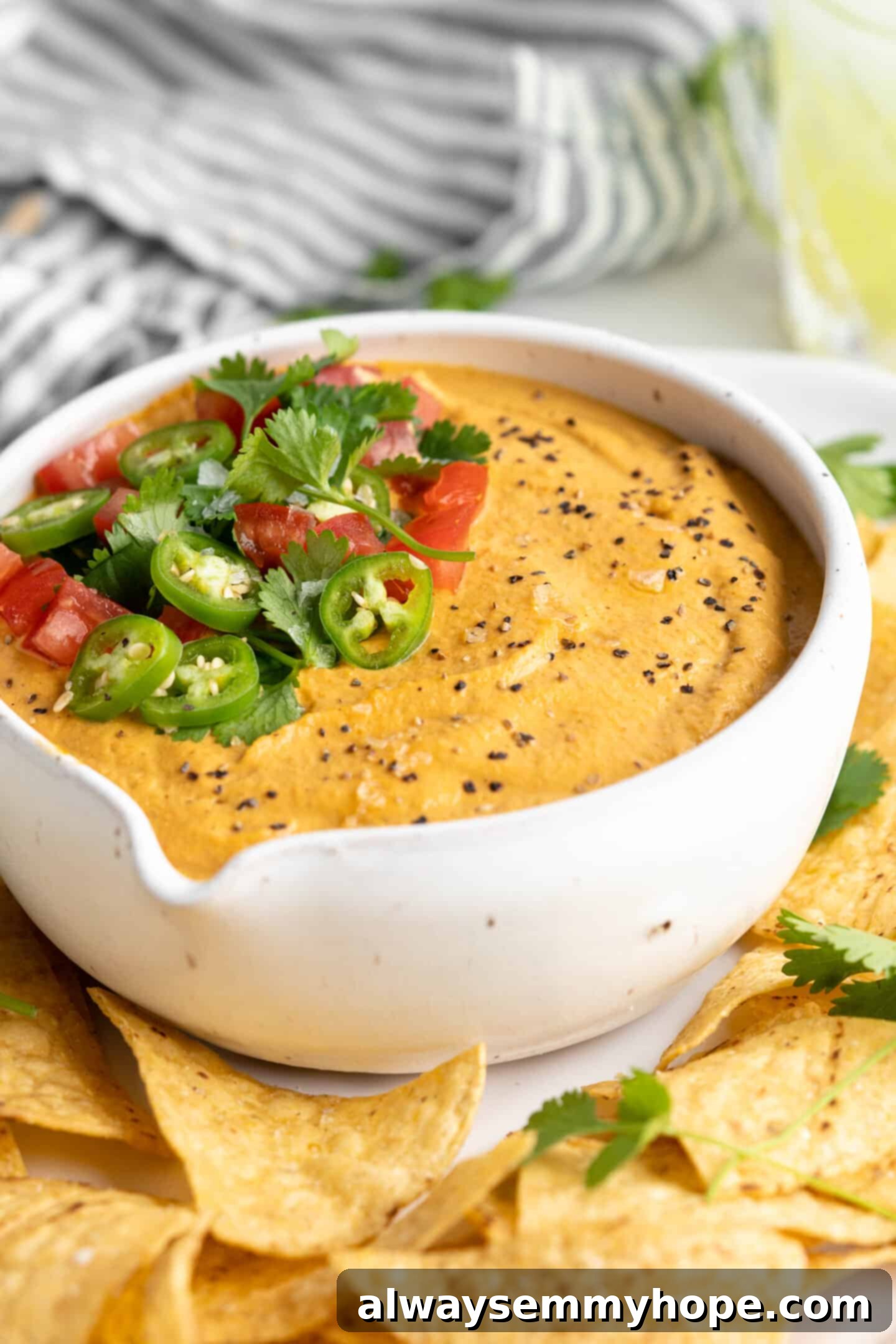 Closeup of vegan queso Closeup of vegan queso