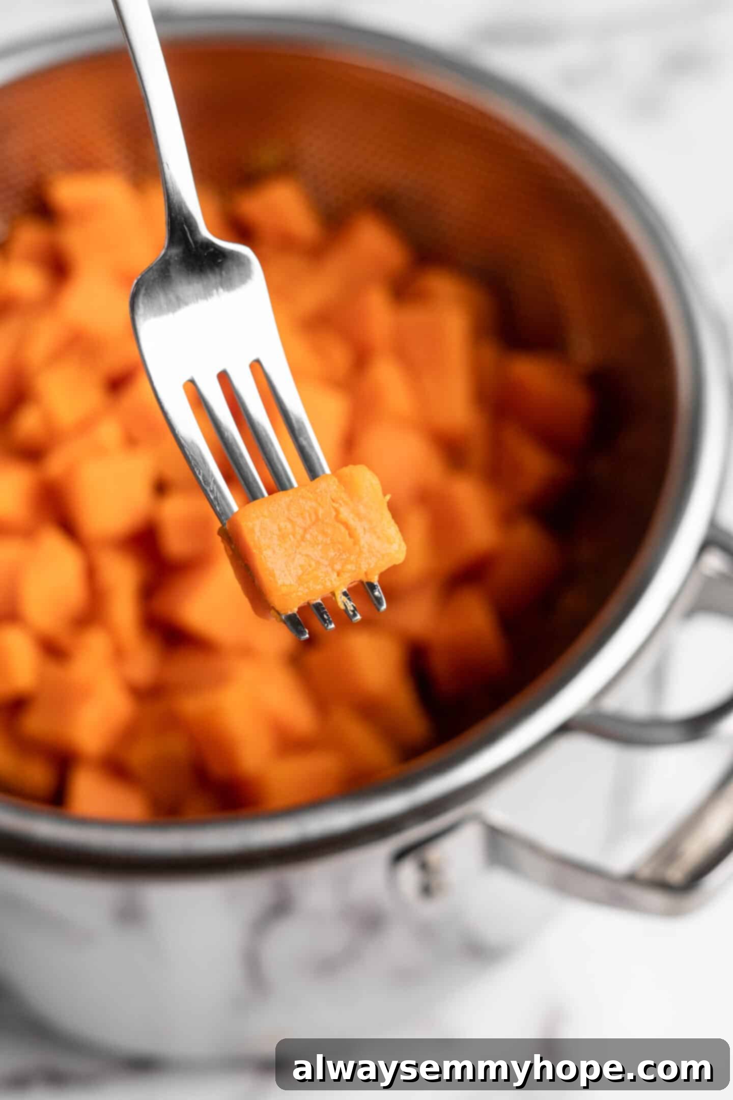 This recipe for vegan mashed sweet potatoes is like a whole holiday celebration in a bowl, but easy enough to make on a busy weeknight! Close-up of fork-tender sweet potato cubes in a pot after boiling.