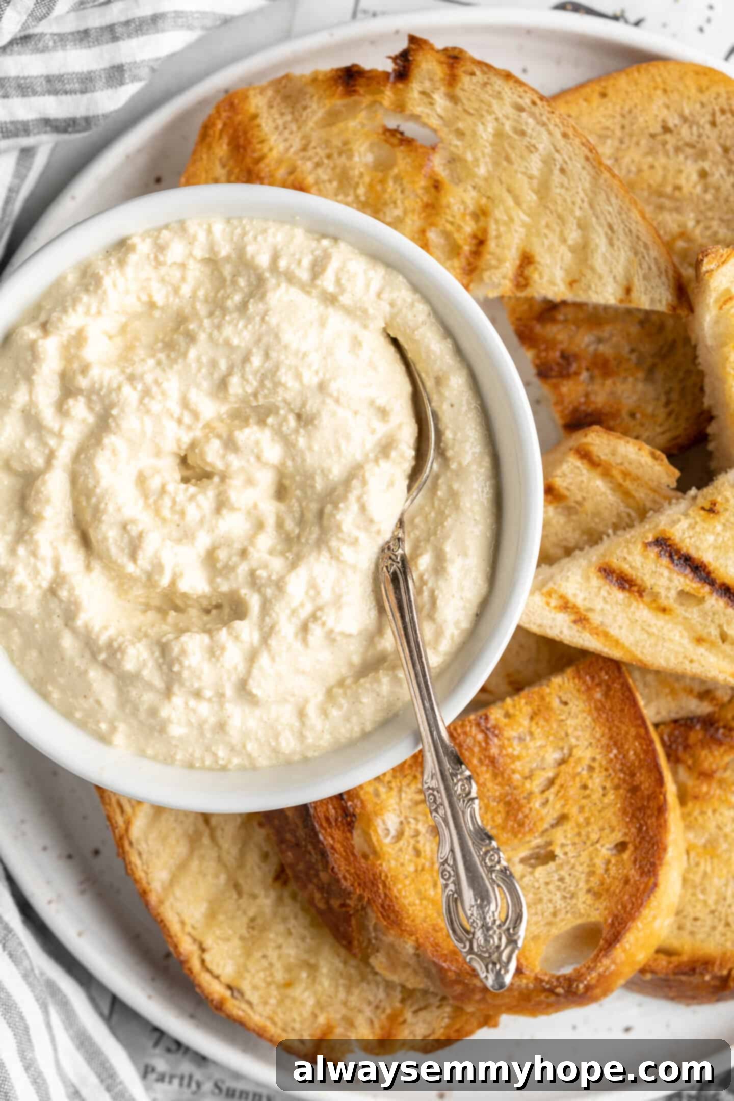 A close-up of the delicious, creamy vegan ricotta texture. Closeup shot of creamy vegan ricotta, showcasing its texture.