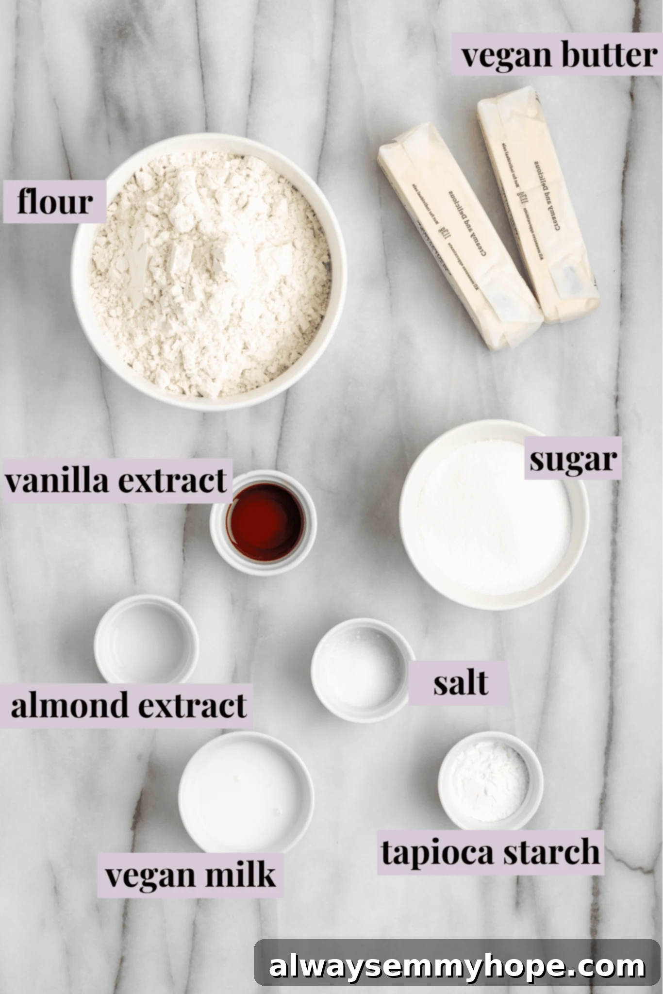 This buttery vegan spritz cookies recipe is fun to make and eat, and the cookies are moist, tender, and full of almond and vanilla flavor. Overhead view of the ingredients for vegan spritz cookies: two sticks of vegan butter, a bowl of flour, a bowl of sugar, a bowl vegan milk, a bowl of cornstarch, a bowl of salt, a bowl of almond extract, and a bowl of vanilla extract, neatly arranged