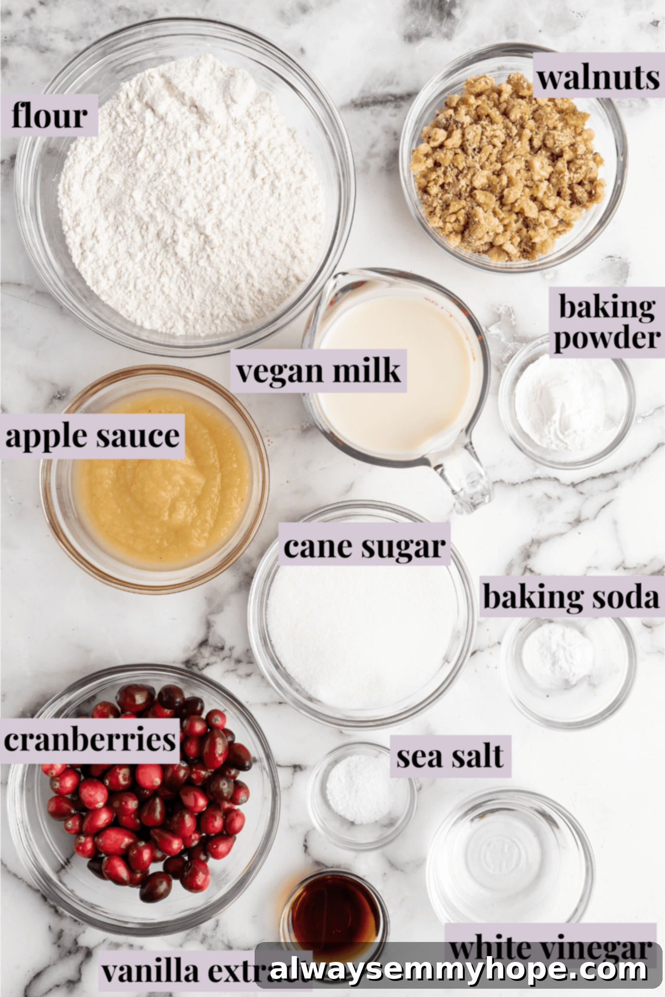 This moist cranberry walnut bread has just the right balance of sweetness, nuttiness, and tartness, and is a perfect holiday treat. An overhead shot of all the meticulously labeled ingredients required for baking cranberry walnut bread, neatly arranged in separate bowls. Featured are bowls of all-purpose flour, chopped walnuts, unsweetened applesauce, vibrant cranberries, vegan milk, granulated cane sugar, baking powder, baking soda, sea salt, white vinegar, and pure vanilla extract, showcasing the simplicity of the recipe's components.