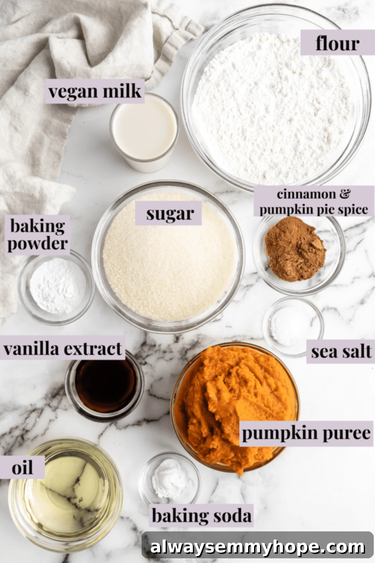 An overhead shot showcasing the neatly labeled ingredients required for making vegan pumpkin cupcakes. Bowls contain all-purpose flour, granulated sugar, smooth pumpkin puree, pure vanilla extract, a pinch of sea salt, baking powder, baking soda, unsweetened vegan milk, a neutral cooking oil, and a blend of cinnamon and pumpkin pie spice.