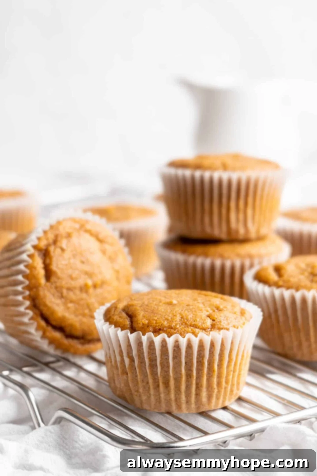 A delightful scattering of freshly baked vegan pumpkin cupcakes, cooling on a rack, awaiting their luscious cream cheese frosting.