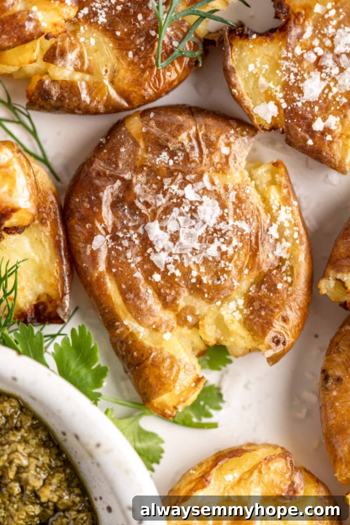 This air fryer smashed potatoes recipe is salty, crispy on the outside, and light and fluffy on the inside. It's an easy side dish, and vegan! Close up of a smashed potato topped with vegan cheese, next to other smashed potatoes and a sprig of parsley