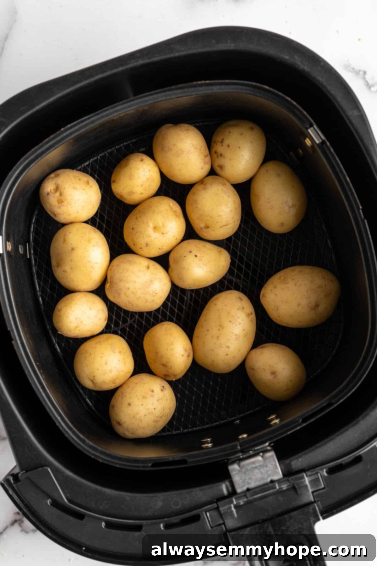 This air fryer smashed potatoes recipe is salty, crispy on the outside, and light and fluffy on the inside. It's an easy side dish, and vegan! Uncooked baby potatoes in an air fryer basket