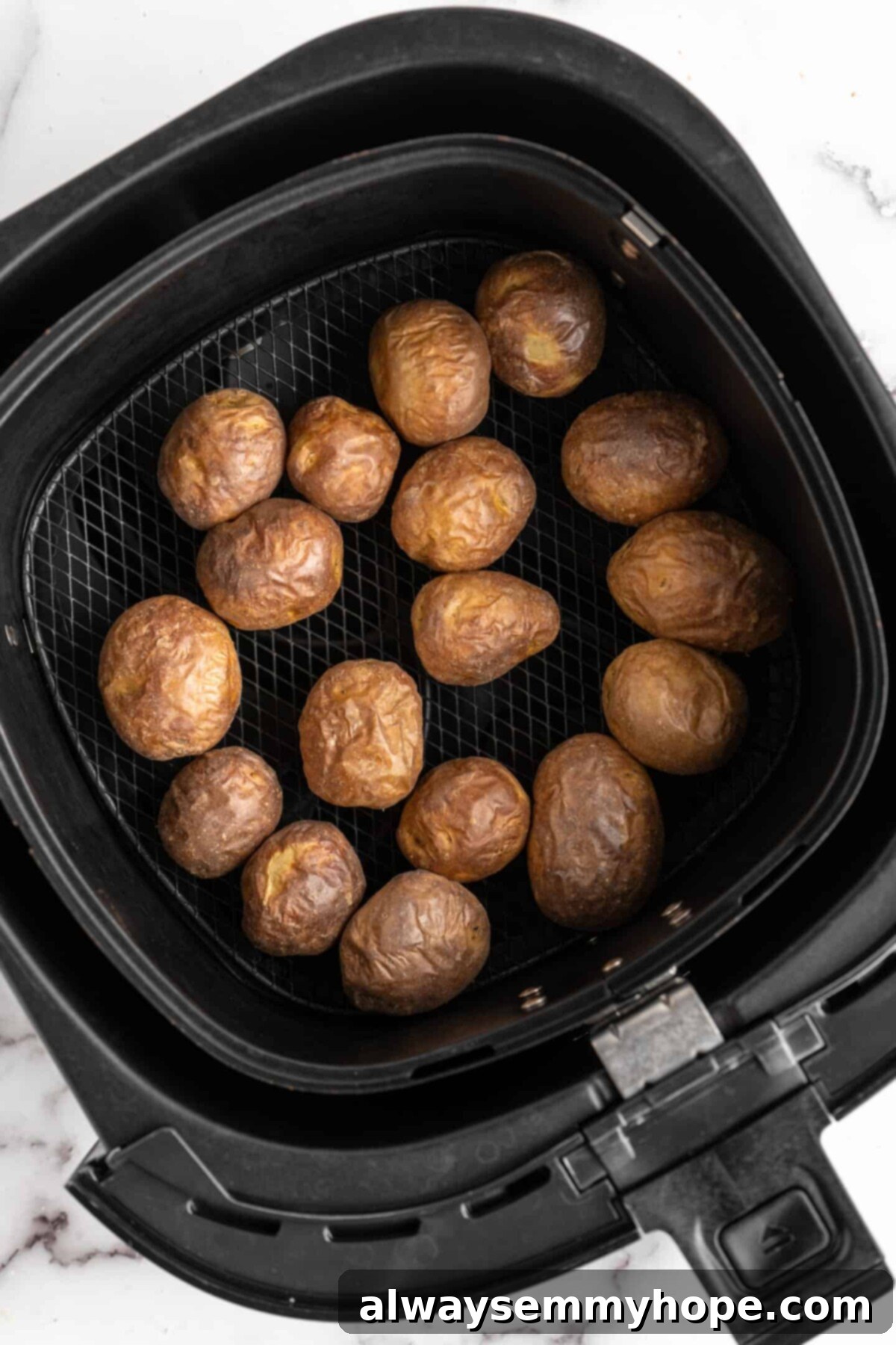 This air fryer smashed potatoes recipe is salty, crispy on the outside, and light and fluffy on the inside. It's an easy side dish, and vegan! Cooked baby potatoes in an air fryer basket