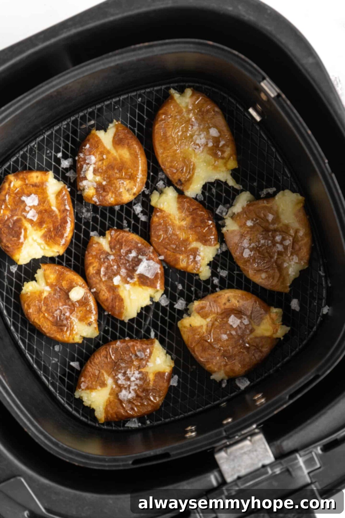 This air fryer smashed potatoes recipe is salty, crispy on the outside, and light and fluffy on the inside. It's an easy side dish, and vegan! Smashed potatoes in an air fryer basket, topped with flaky salt, before being cooked a final time