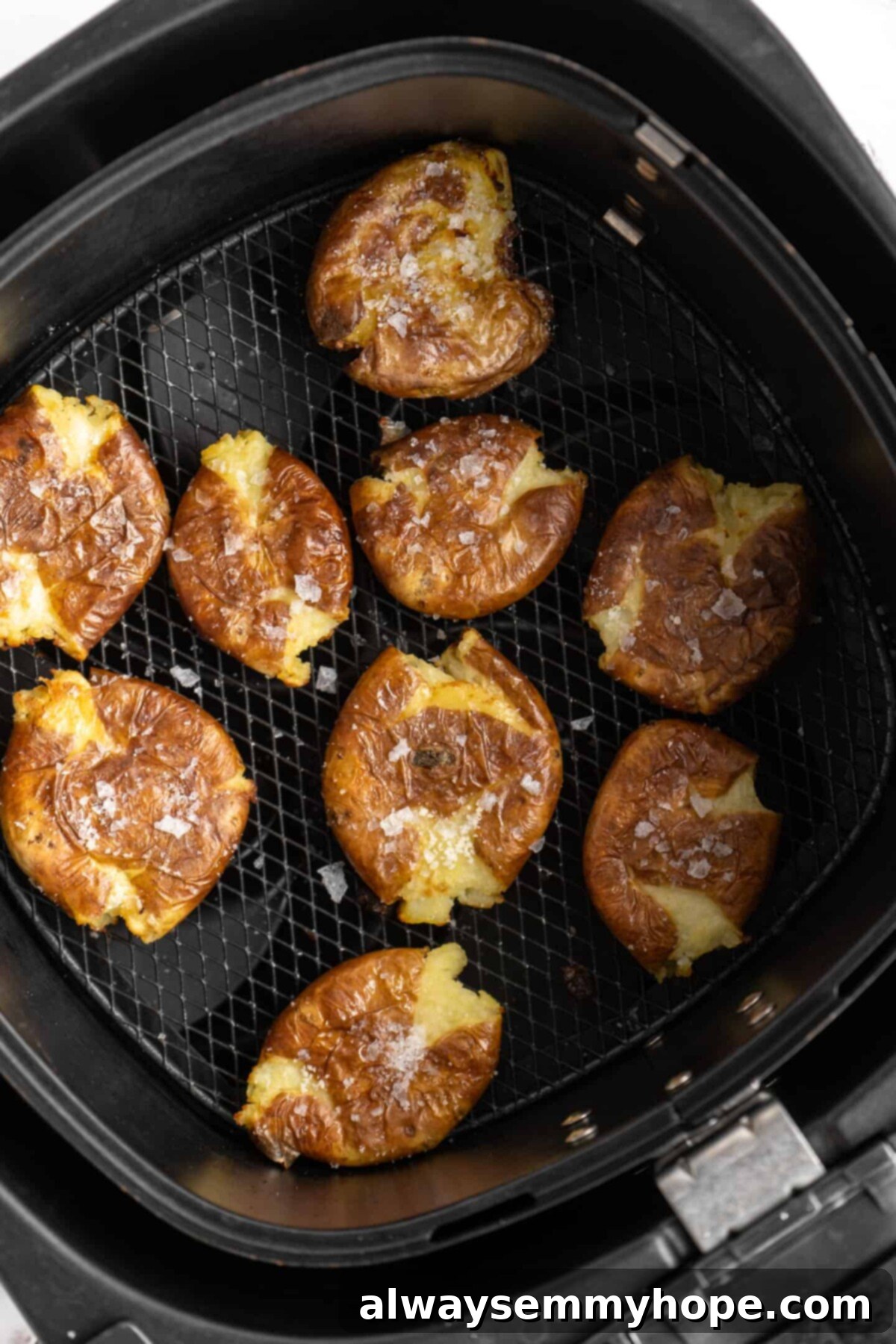 This air fryer smashed potatoes recipe is salty, crispy on the outside, and light and fluffy on the inside. It's an easy side dish, and vegan! Smashed potatoes cooked in an air fryer basket, topped with flaky salt